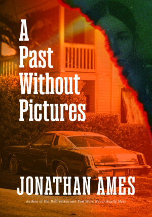 A Past Without Pictures cover